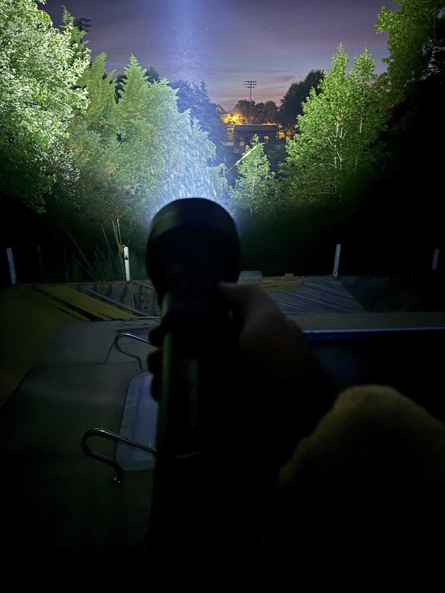Person holding a flashlight in a dark outdoor setting with trees and a distant light source.